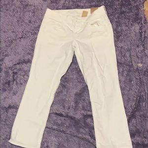 Artist cropped white